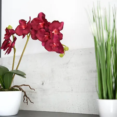 Greenbay Golf Apartamento