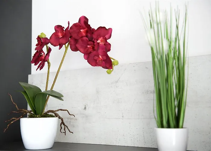 Greenbay Golf アパート